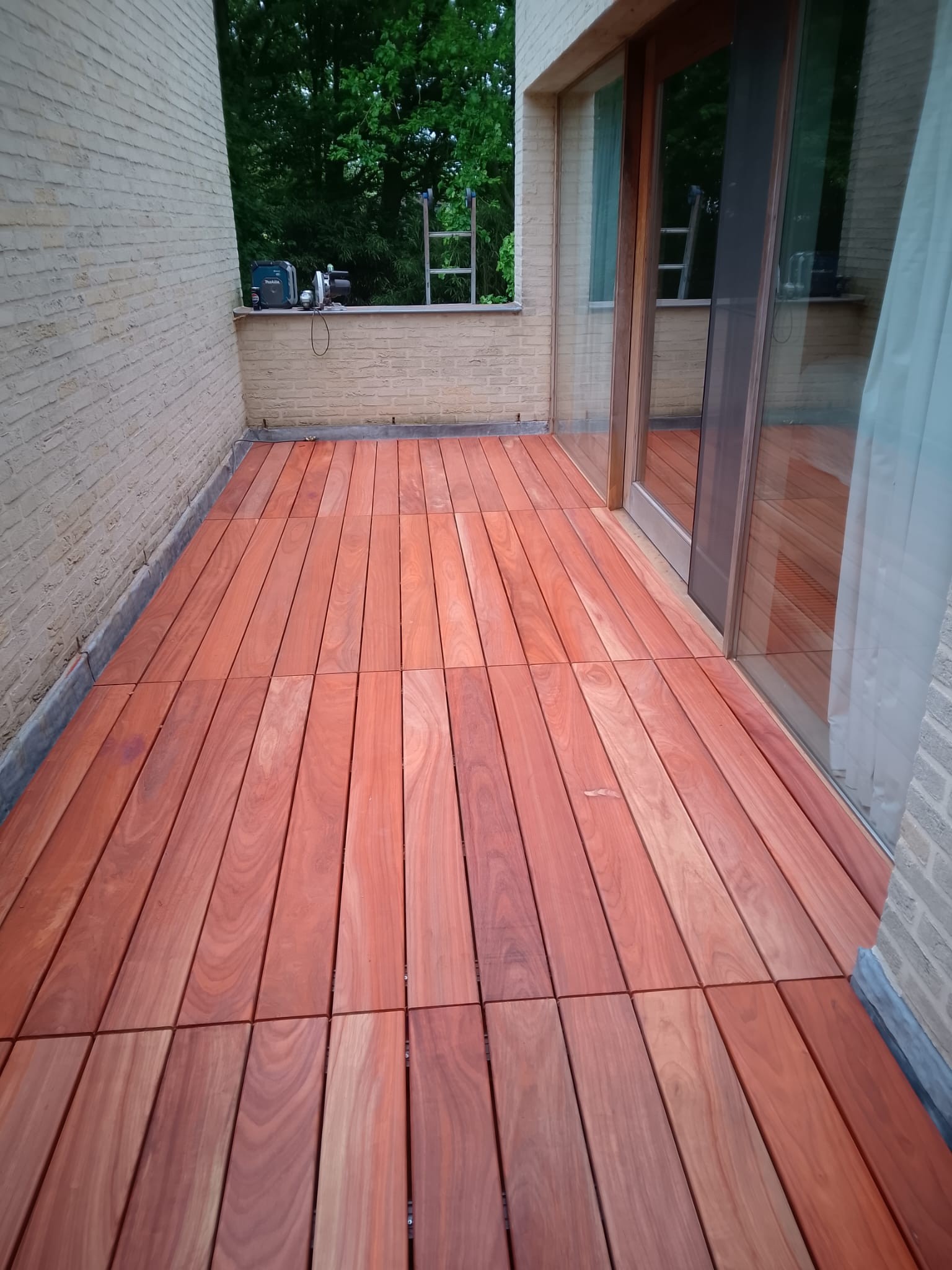 terras 7